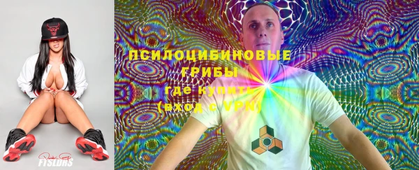 спайс Валдай