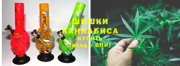 ECSTASY Пересвет