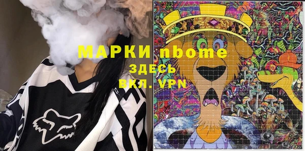 ECSTASY Пересвет