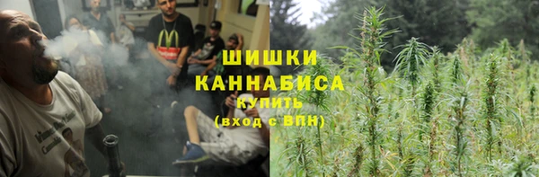 ECSTASY Пересвет