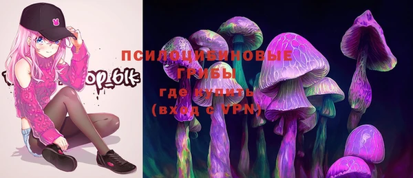ECSTASY Пересвет