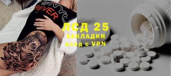 ECSTASY Пересвет