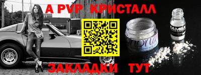 ALPHA PVP Гай