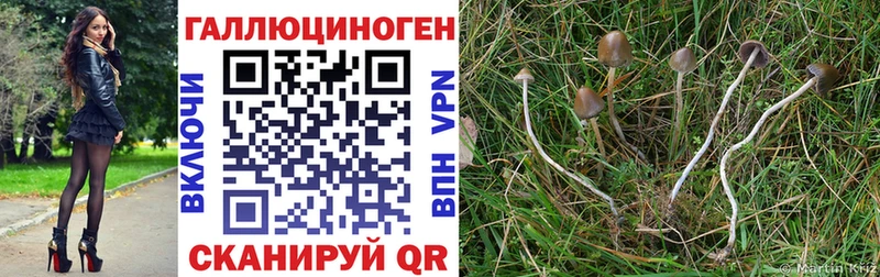 продажа наркотиков  Азнакаево  Галлюциногенные грибы ЛСД 