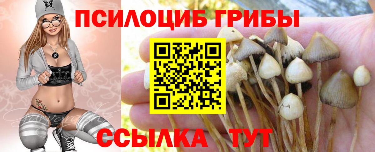 Псилоцибиновые грибы Magic Shrooms  Псилоцибиновые грибы мицелий  Вход с VPN  Азнакаево 