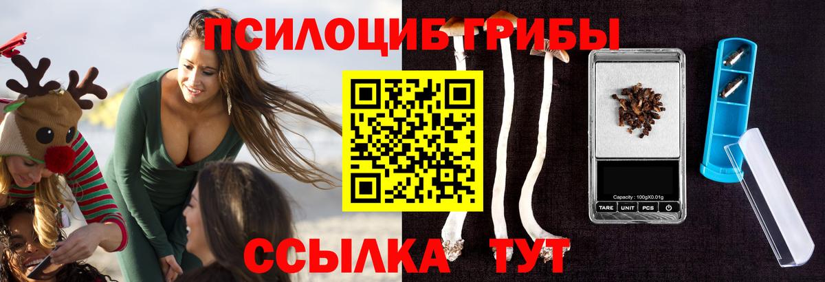 Азнакаево  Галлюциногенные грибы прущие грибы  Вход с VPN  Галлюциногенные грибы Cubensis 
