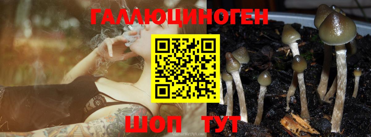 Псилоцибиновые грибы GOLDEN TEACHER Азнакаево